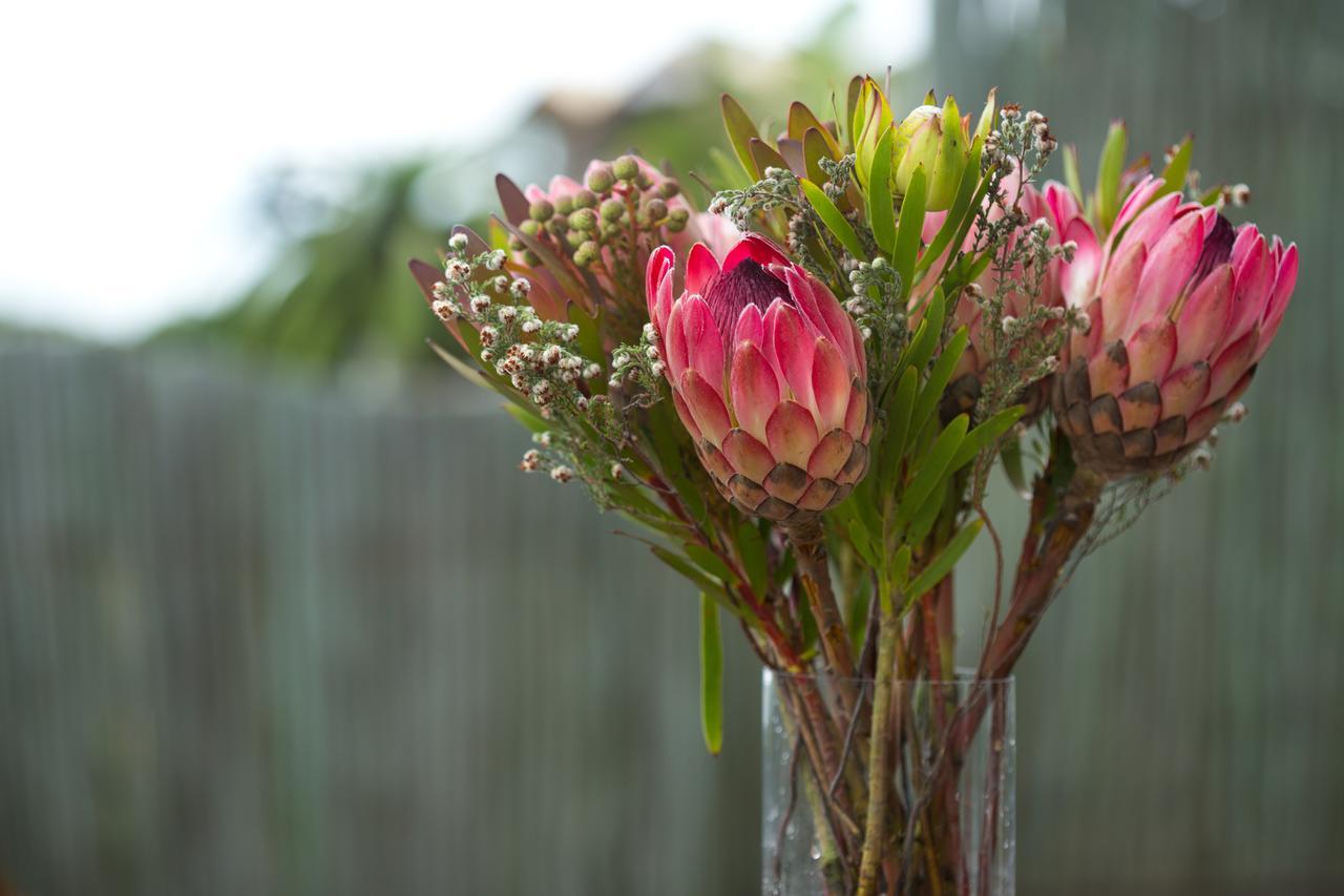 African Perfection 1 Jeffreys Bay Ngoại thất bức ảnh